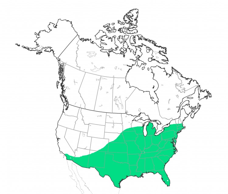 distribution map of Neoscona crucifera in North America, north of Mexico