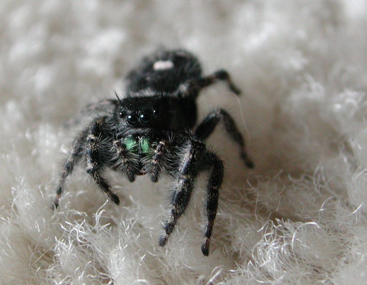 photo of bold jumper on the carpet