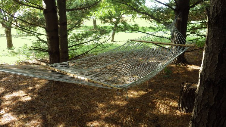 cotton fiber hammock